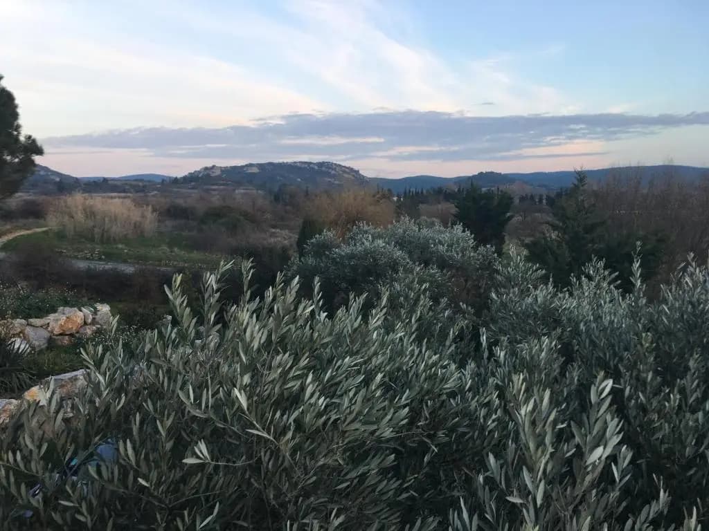 Villa Giuliani - Photo 1