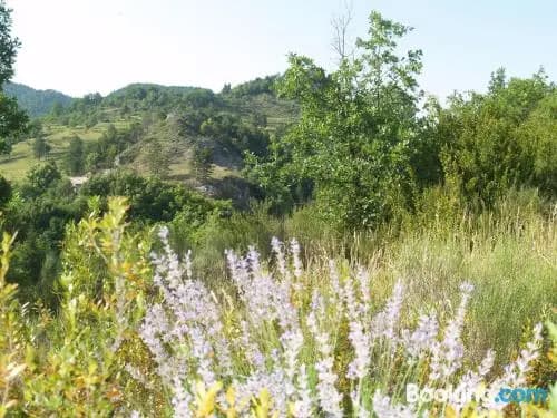 Camping Domaine du Verdon - Photo 1