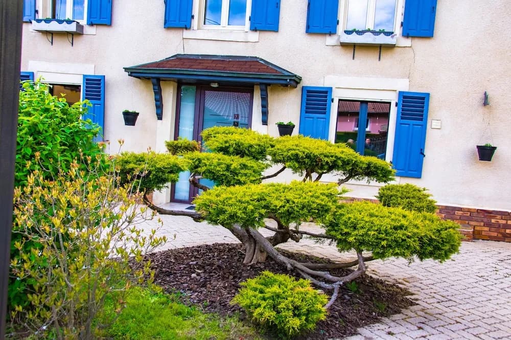 La Chambre Enchantée - Photo 1