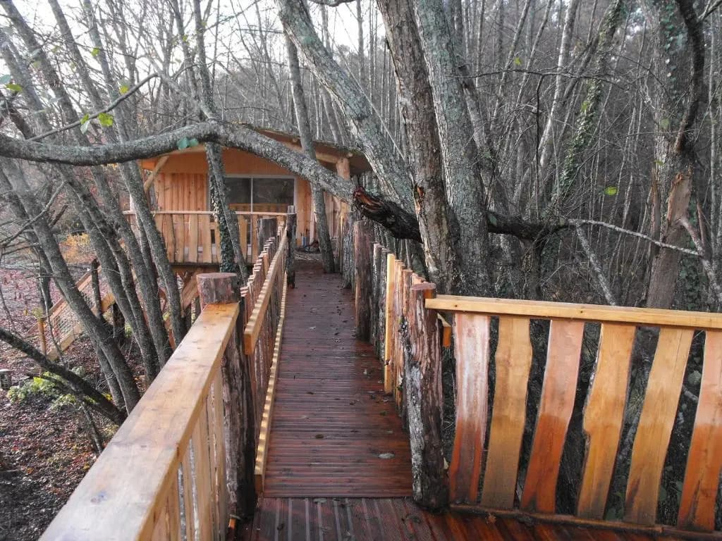 Cabane des cerfs - Photo 2