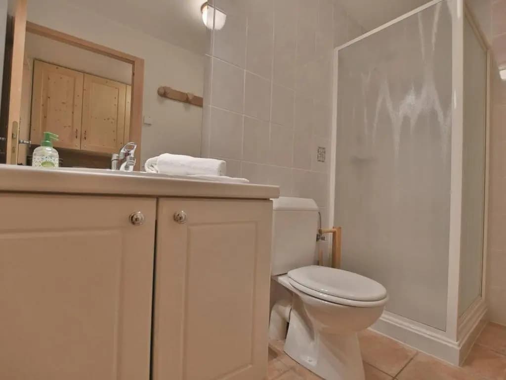 Chalet Le Grand-Bornand, 8 pièces, 16 personnes - FR-1-391-33 - Miniature 8