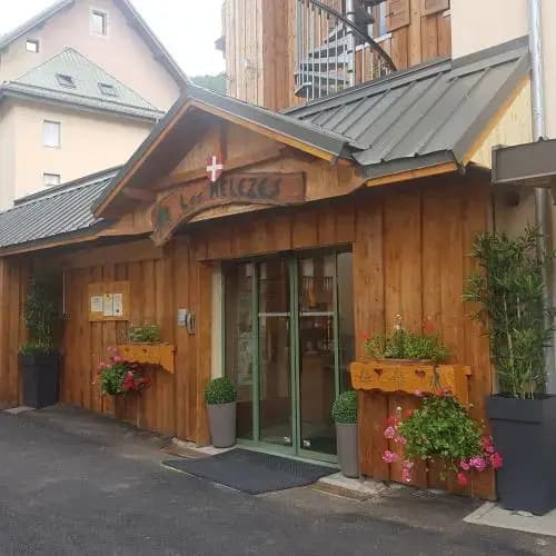Hotel Les Melezes - Photo 1