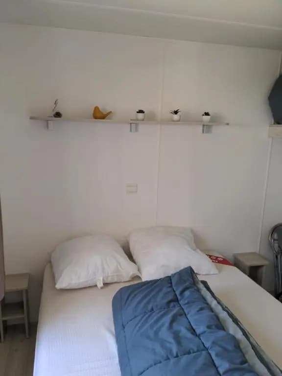 Le HETRE " Camping Les Dunes De Contis " St Julien en Born - Photo 1