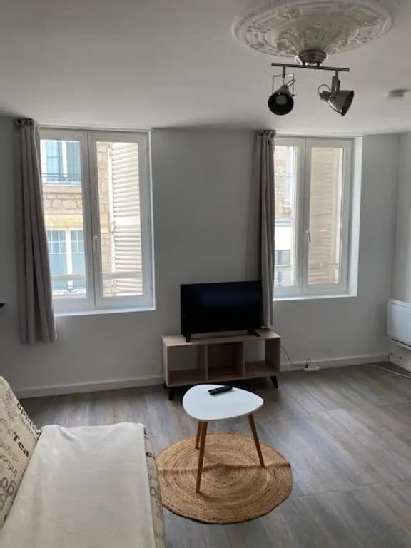 Appartement entier 35M2 Avenue Emile Zola - Photo 3