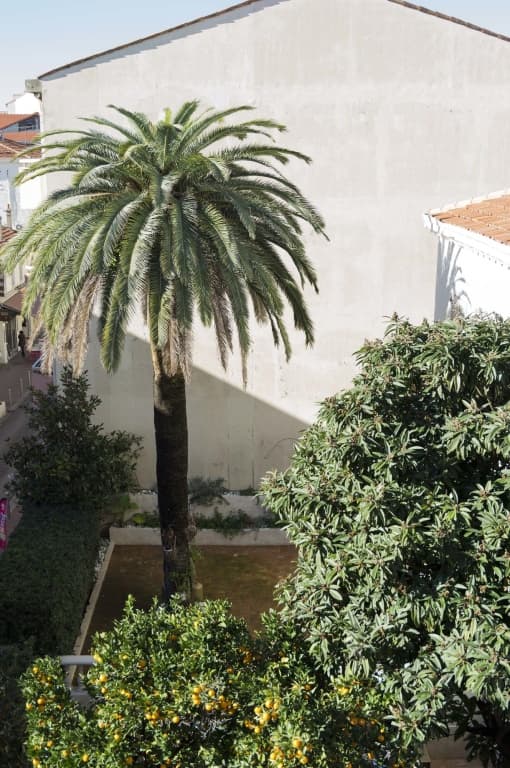 Appartement Cannes rue Marceau - Photo 1