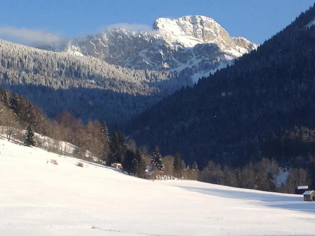 Chalet Eterlou - Photo 3