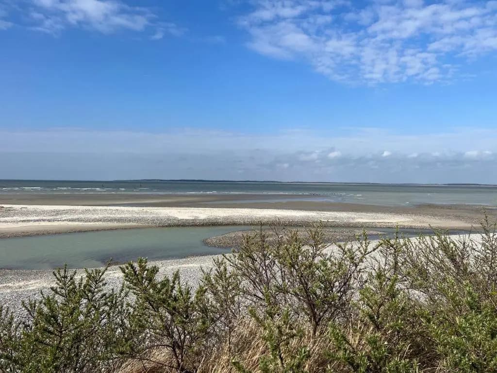 Plage à 50m Appartement Rêves ensablés Villa Les Bains de Mers - Photo 3
