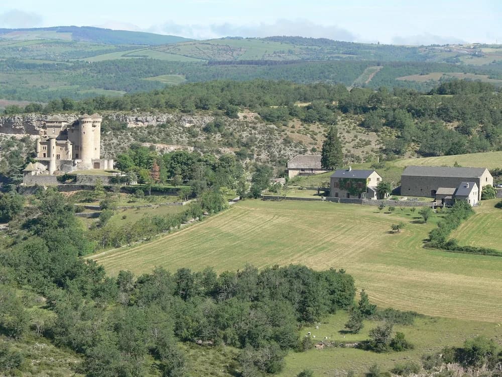 La Roulotte de Cabrières - Miniature 8