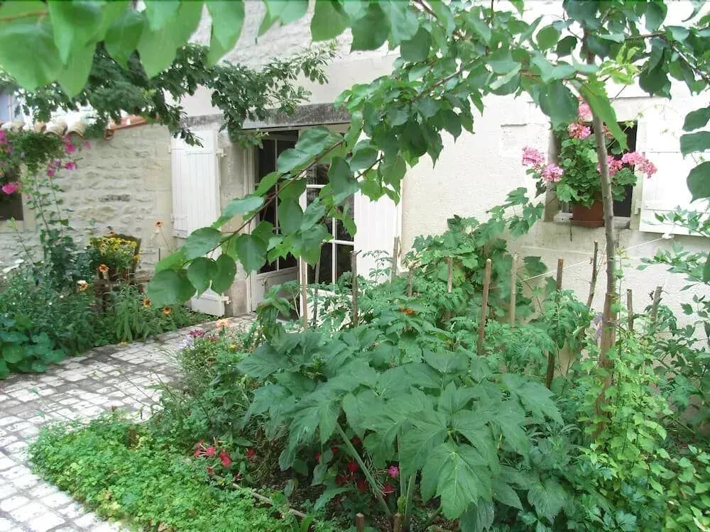 La Fleur de Vigne - Maison D'Hotes - Miniature 6