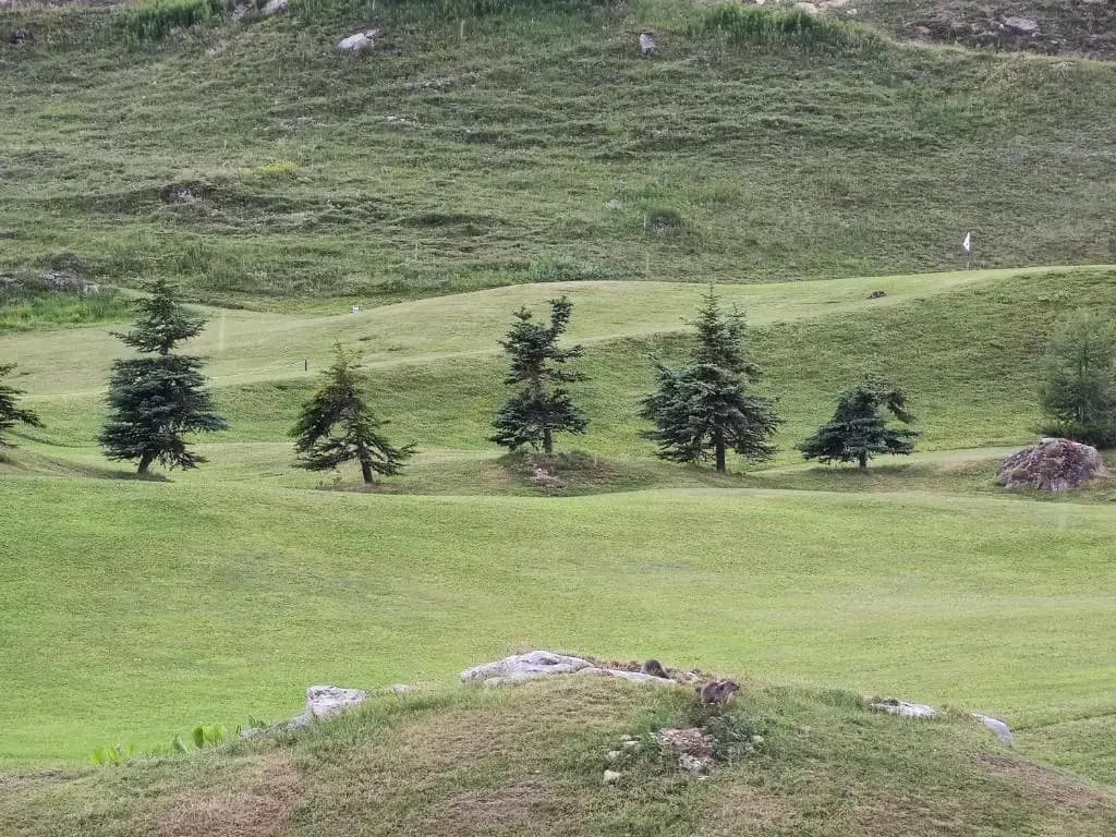Chalet Club Val Claret 1 46 - Miniature 6
