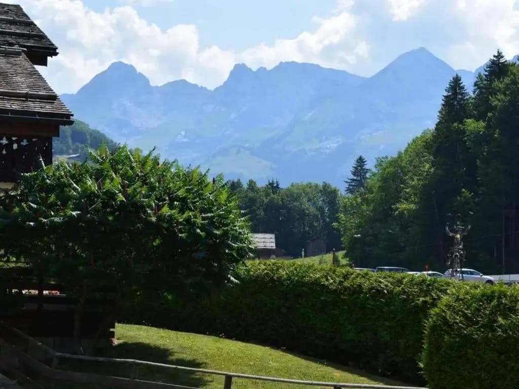 Appartement Le Grand-Bornand, 1 pièce, 5 personnes - FR-1-241-45 - Photo 4