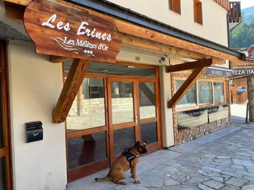 Les Orres 6 Places Coeur de Station avec Piscine - Photo 1