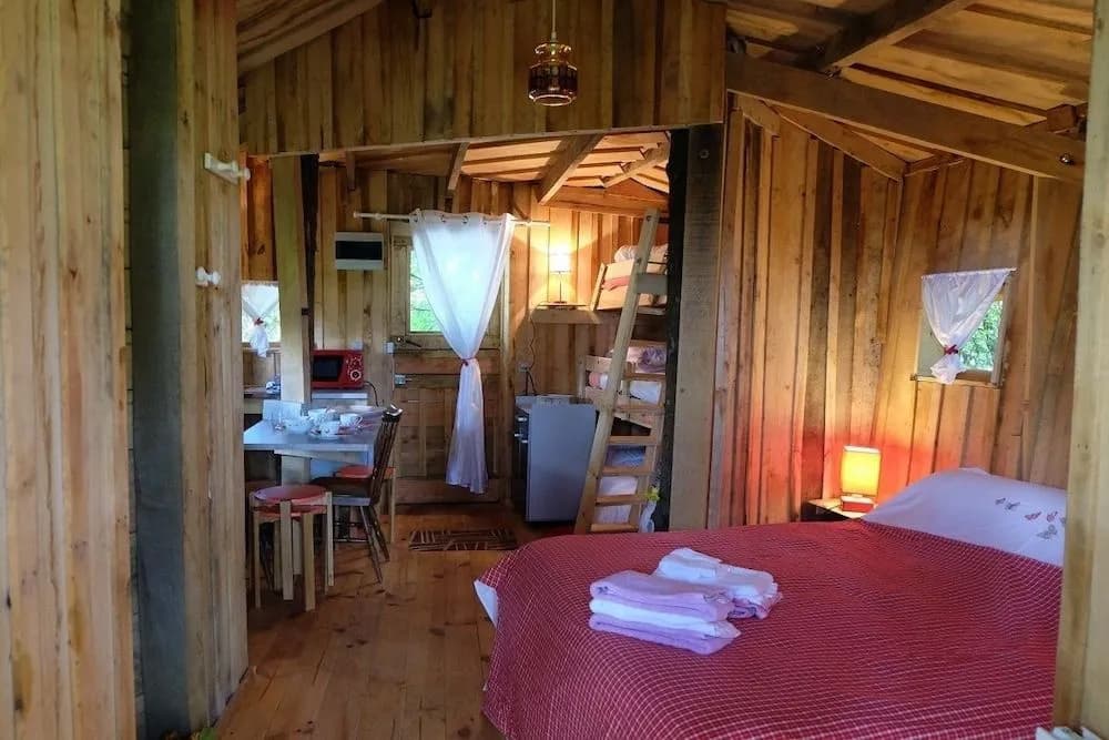 Cabane dans les Arbres - Tree House - Photo 3
