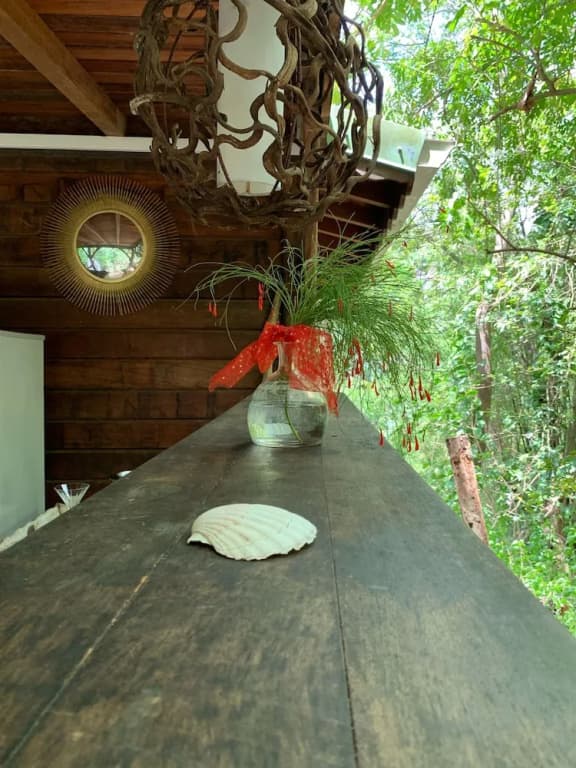 ecolodge Martinique - Photo 3