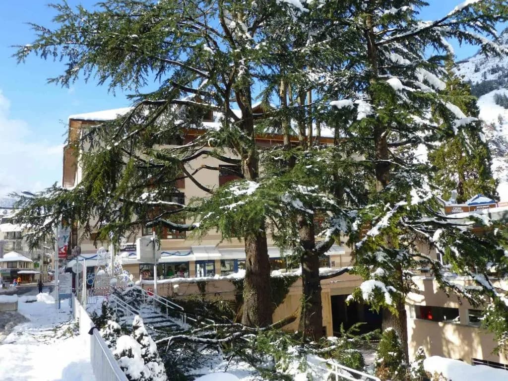 Appartement Brides-les-Bains, 1 pièce, 2 personnes - FR-1-512-191 - Miniature 7