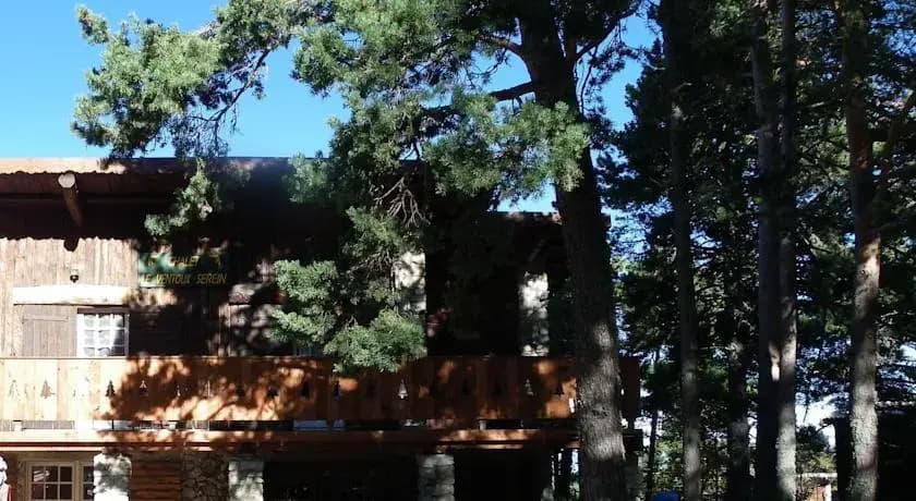 Chalet Ventoux Serein - Chambres d'hôtes - Photo 1