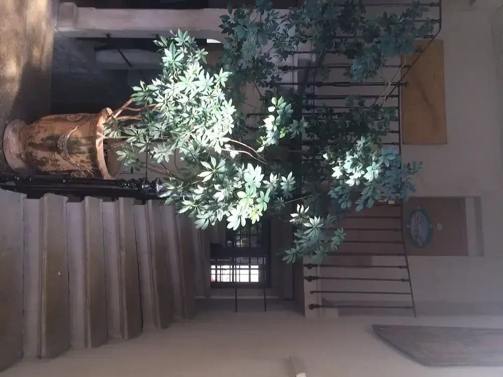 Hôtel du Centre - Miniature 7