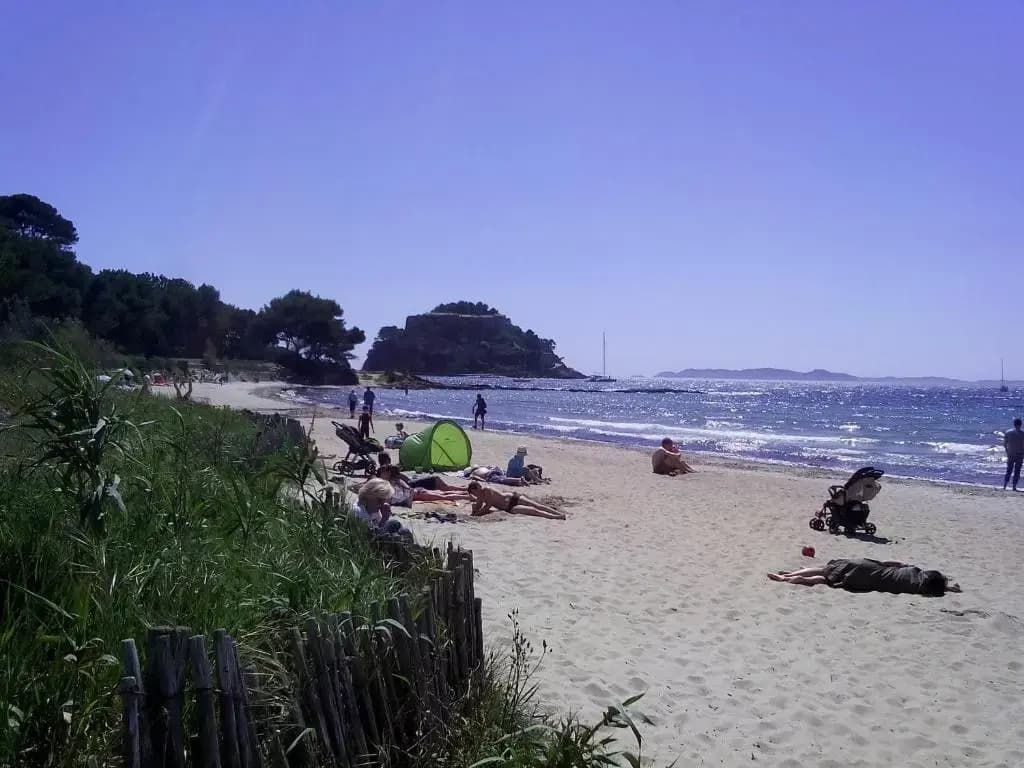 Hôtel Les Palmiers - Photo 4