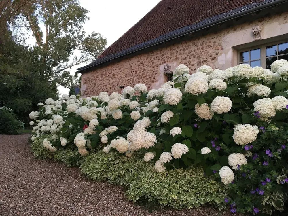 Manoir de Maucartier - Photo 1