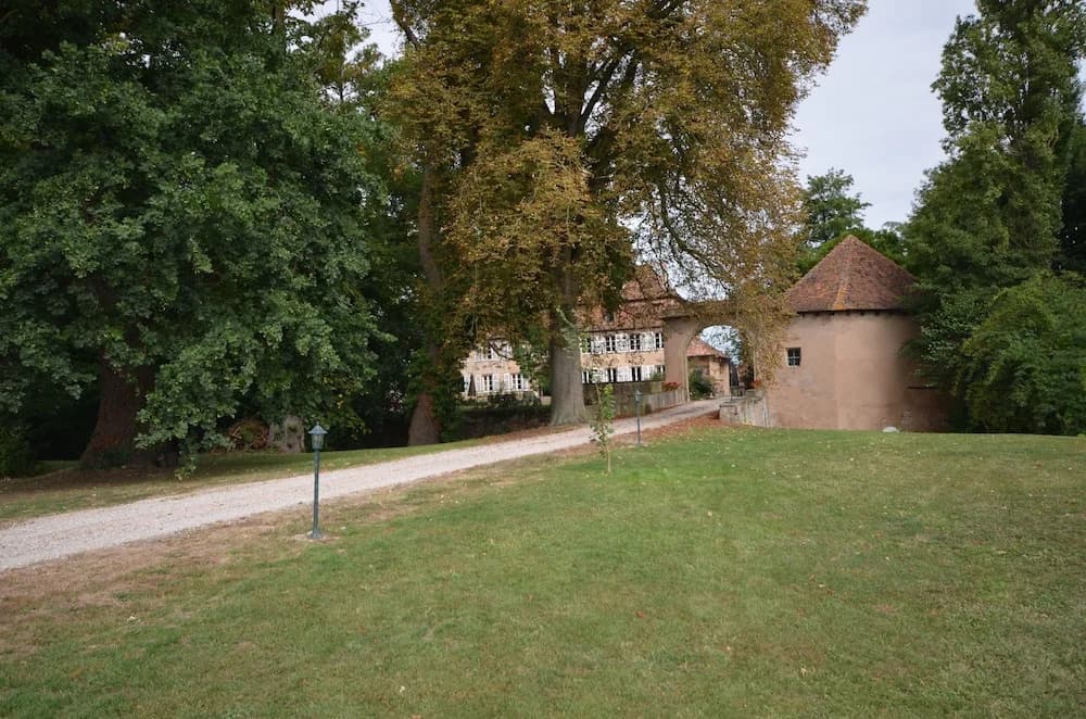 Chambres d'hôtes Château De Grunstein - Miniature 8