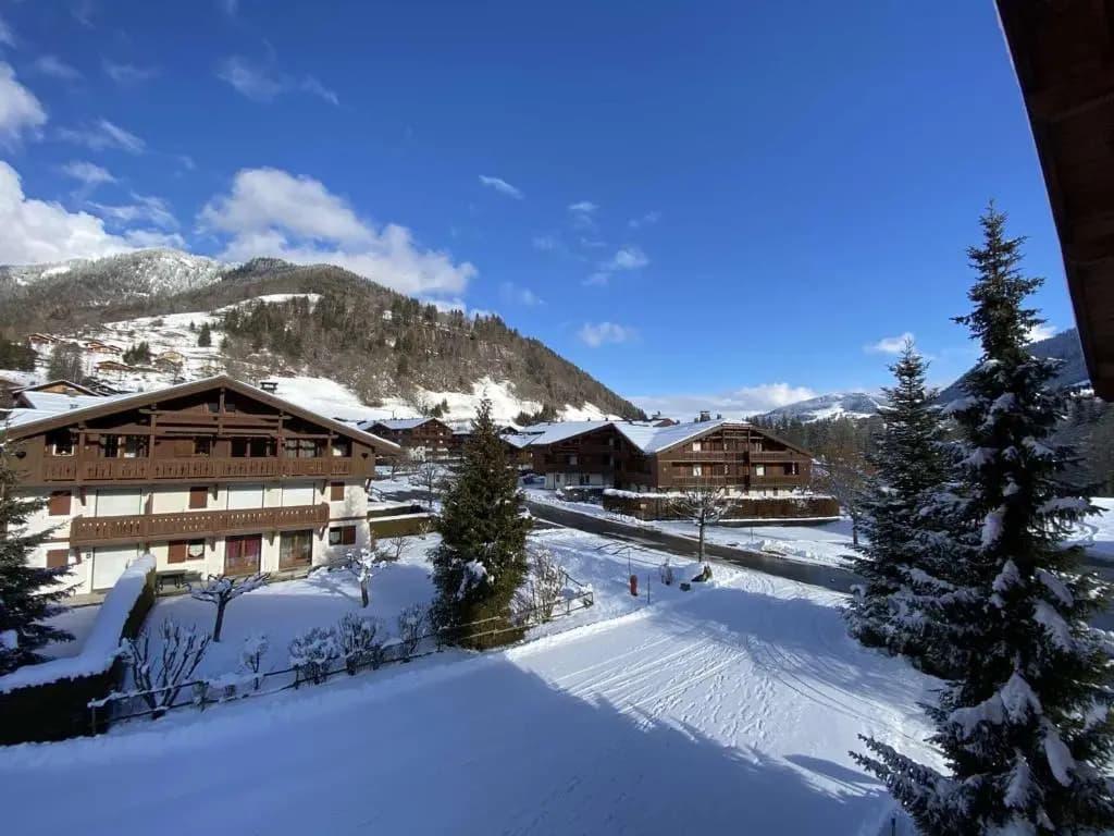 Appartement Praz-sur-Arly, 1 pièce, 4 personnes - FR-1-603-18 - Miniature 8