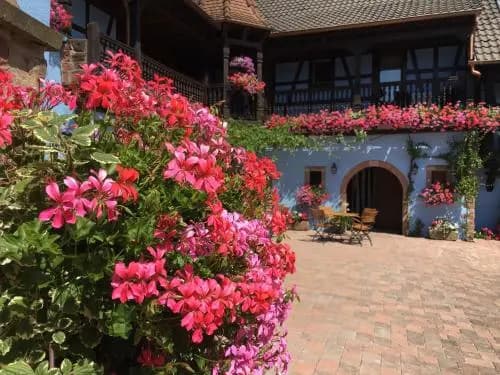 Hotel Kieffer - Miniature 8
