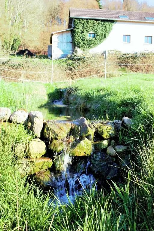Au Temps de la Source - Miniature 7