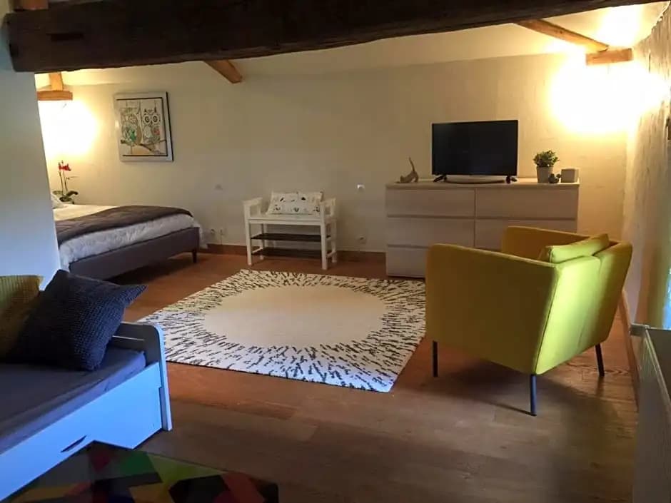 Le Vieux Logis de la Galocherie - Photo 4