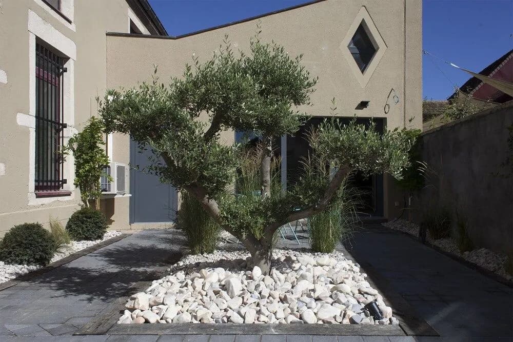 Appart Hotel Eugenie - Photo 1