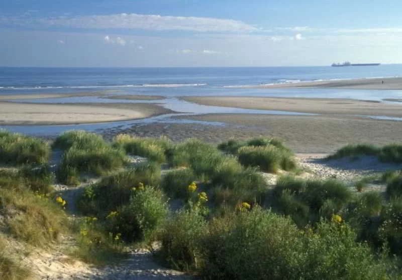 Evancy Oye Plage - Photo 1