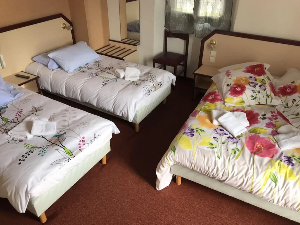 Hotel Myosotis - Miniature 6