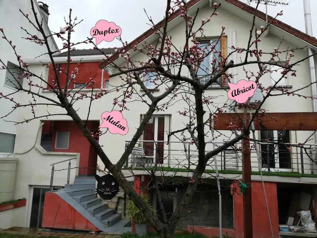 Chalet de Paris - Photo 1