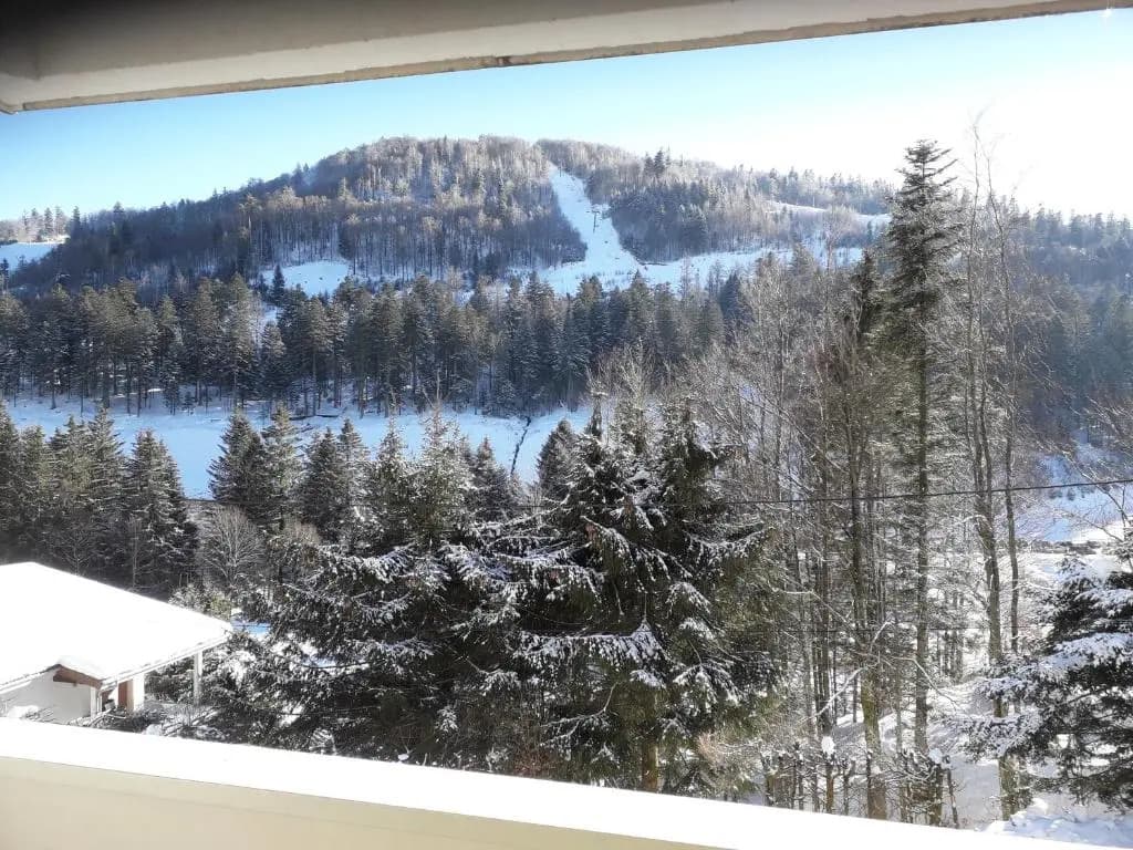 Appartement Les Oursons La Bresse - Miniature 8