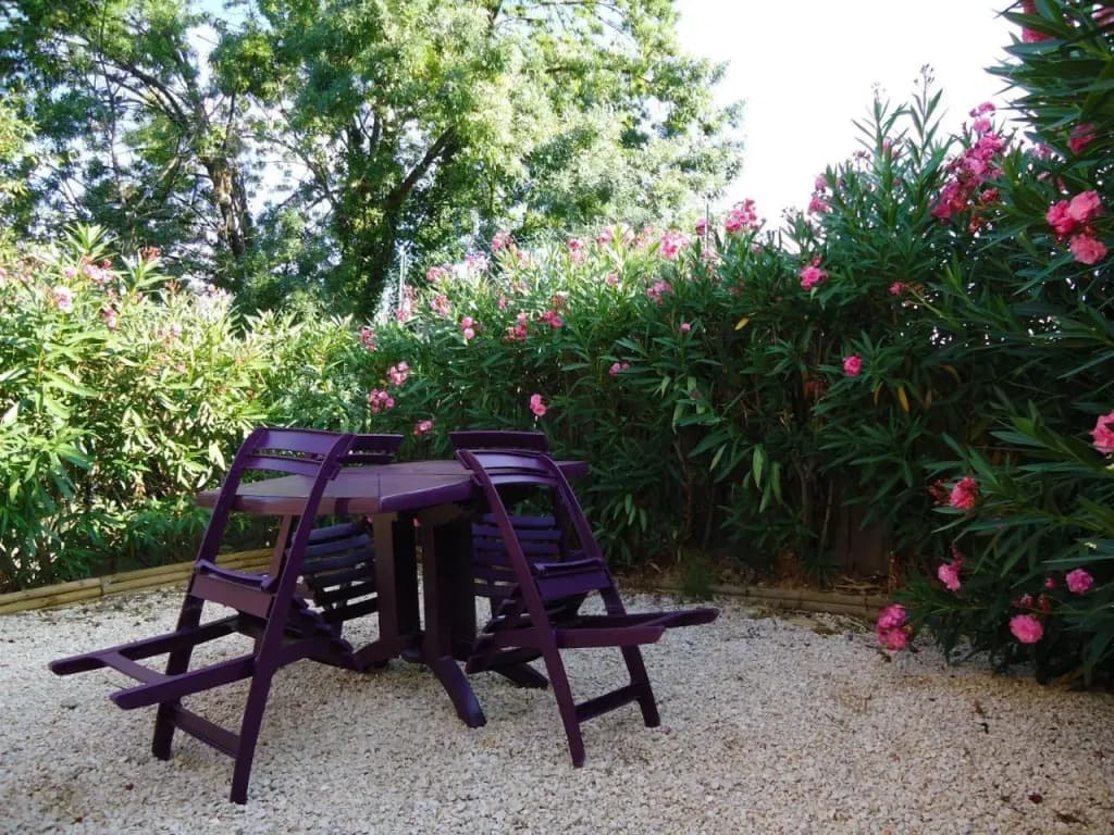 Delaporte - Photo 5