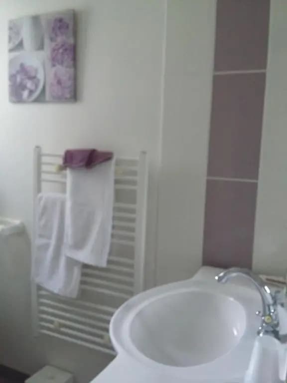 B&B La Foret de Charmeuse - Photo 1