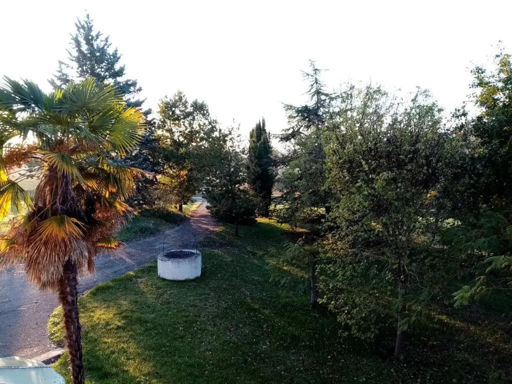 La Gurlanne - Photo 5