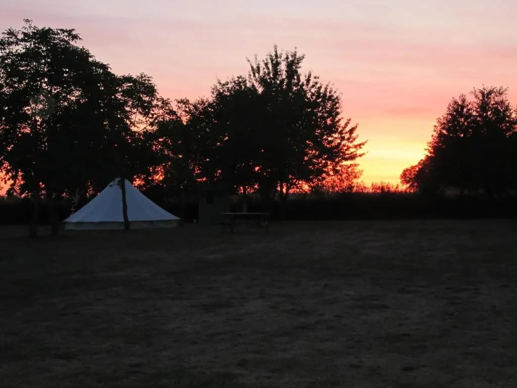 Camping La Forêt-de-Tessé - Miniature 7