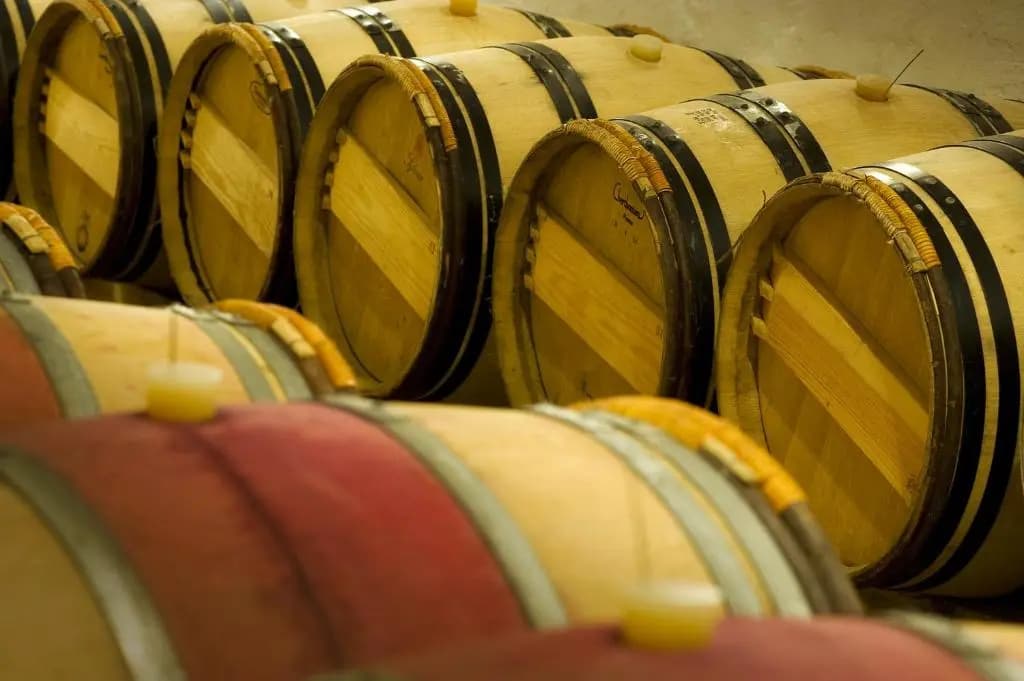 Domaine de la Soucherie - Chambres d'hôtes - Photo 3