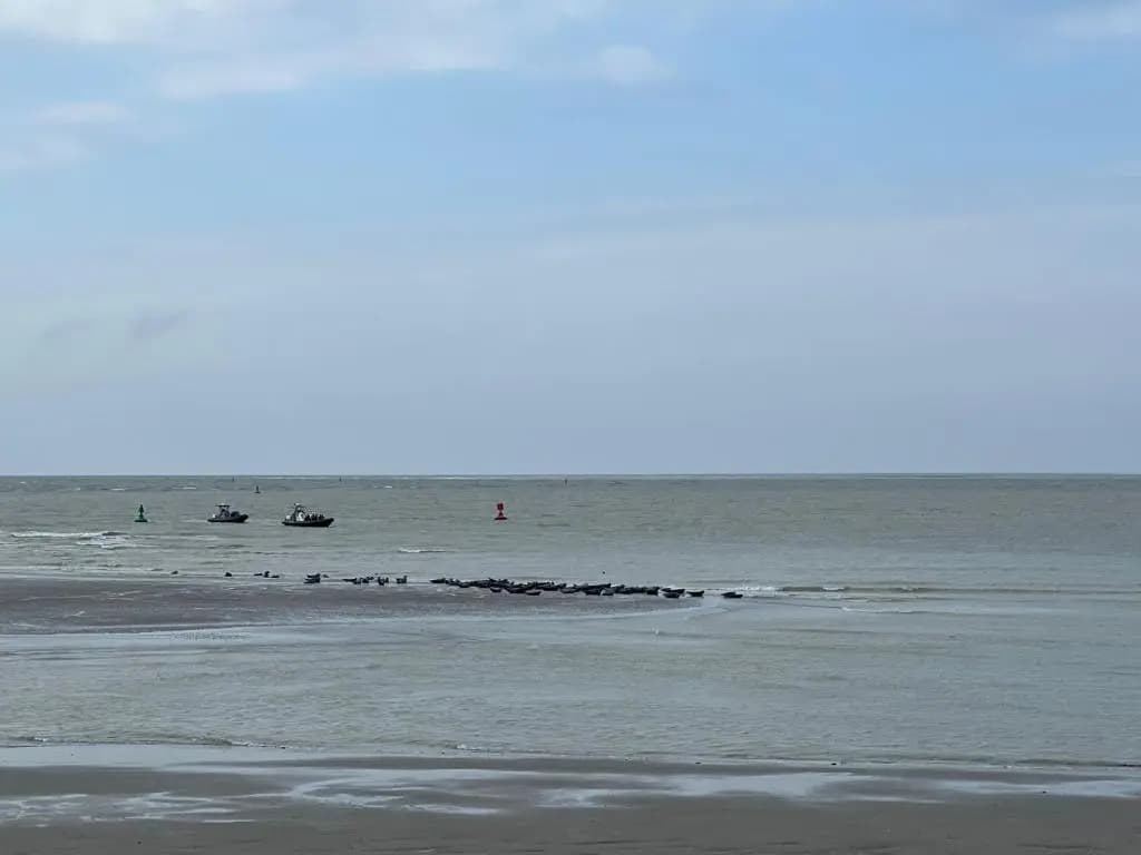 Plage à 50m Appartement Rêves étoilés Villa Les Bains de Mers - Photo 3