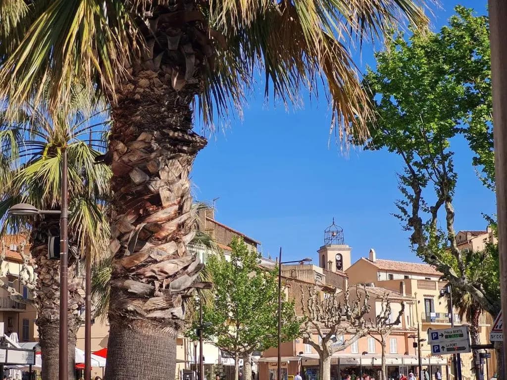 Appartement Sainte-Maxime, 1 pièce, 4 personnes - FR-1-226-303 - Miniature 6