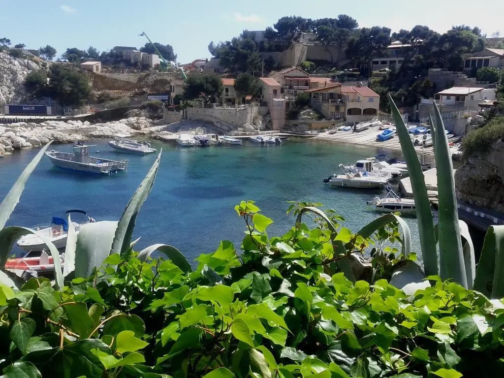 La Palmeraie des Calanques - Photo 1
