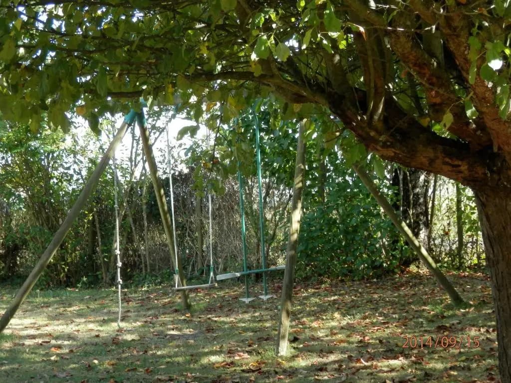 L'âne Vert - Photo 3