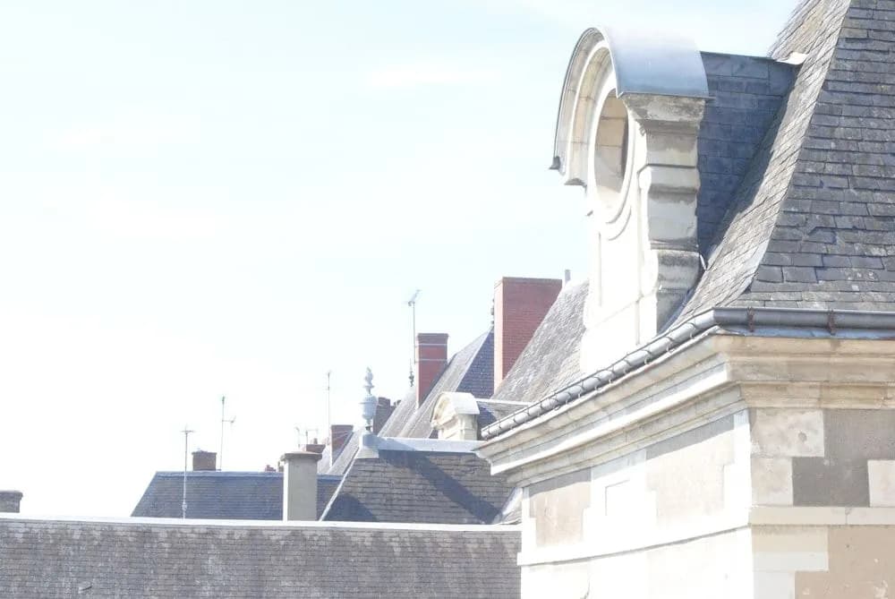 Hotel Particulier Le Ragois - Photo 1
