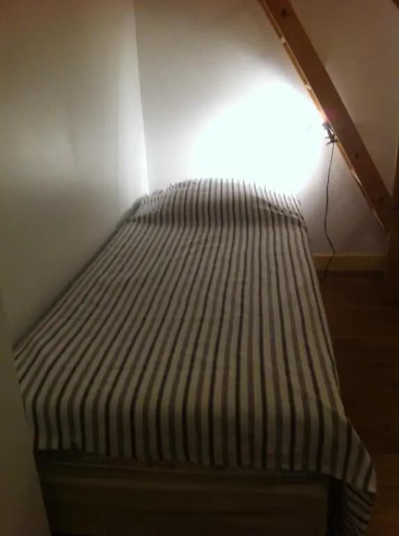 L'Ombrière - Photo 3
