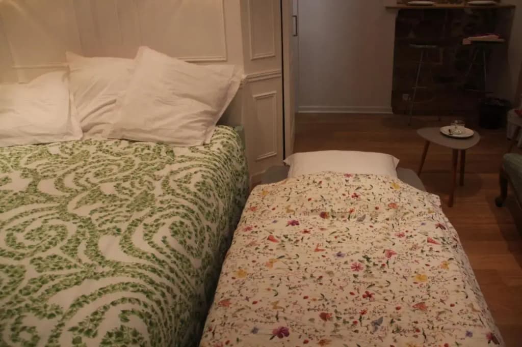 La Suite Presqu'Ile - Photo 5