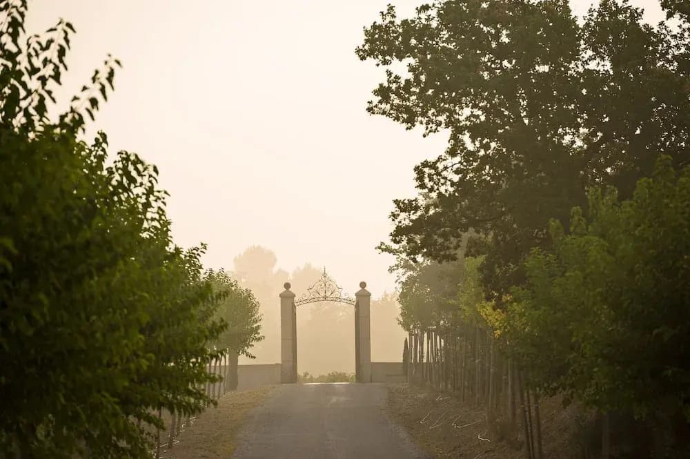 Les Terres de Saint Hilaire - Photo 5