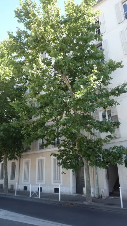 Le Jardin de Tesse Chambre d'hôtes - Photo 1