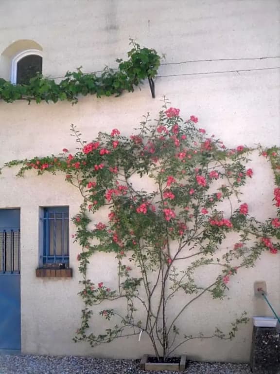 Ma Cambuse près Giverny - Photo 1
