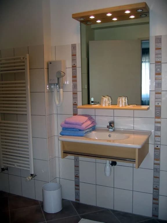 Hotel Restaurant Les Cygnes - Photo 5