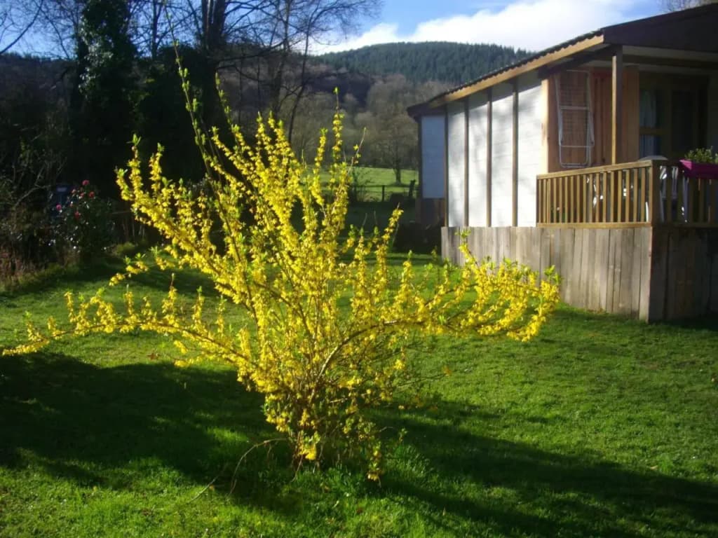 Les chalets d'Alzen - Miniature 7